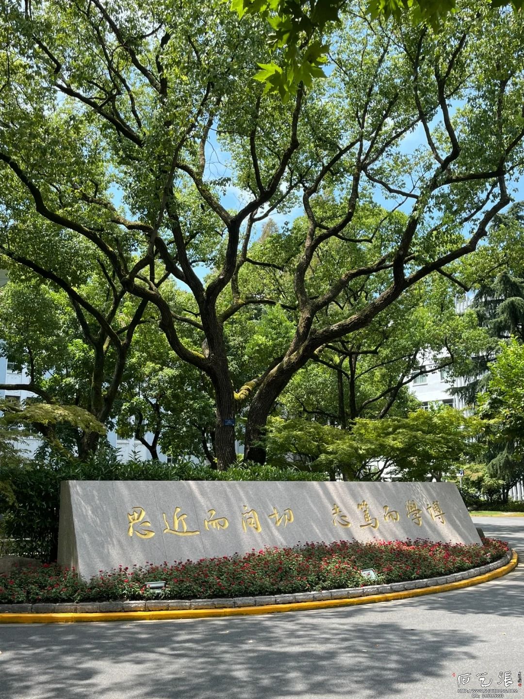 复旦大学校训石全景照片