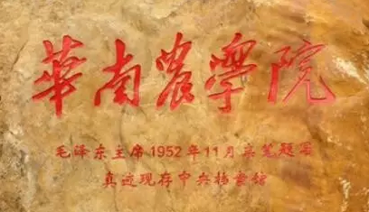 毛泽东题字