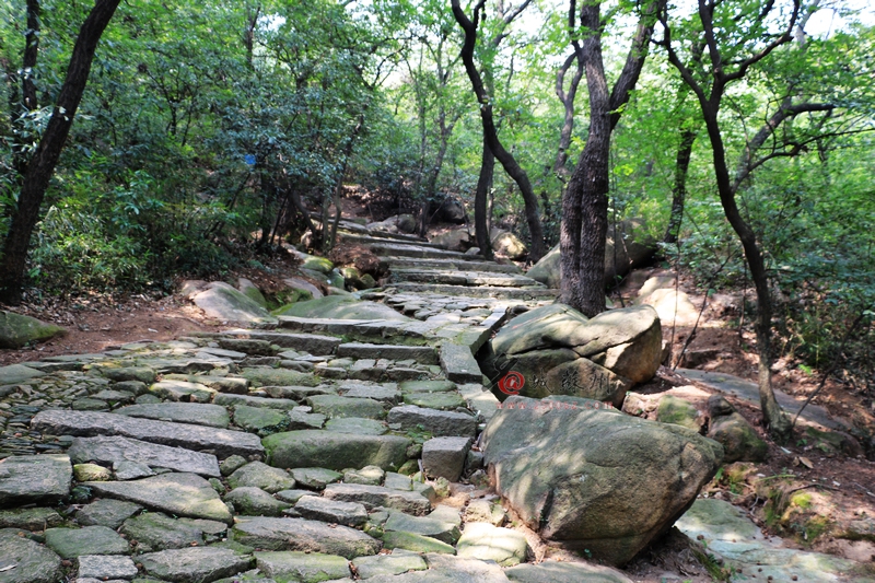 上山道