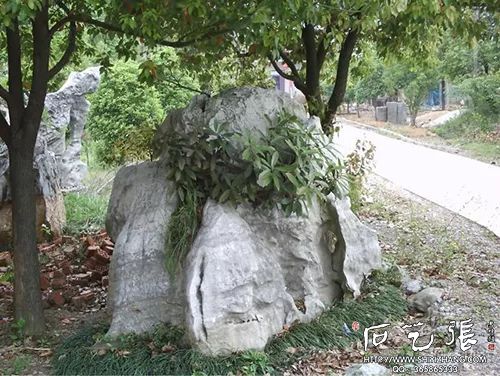 太湖石