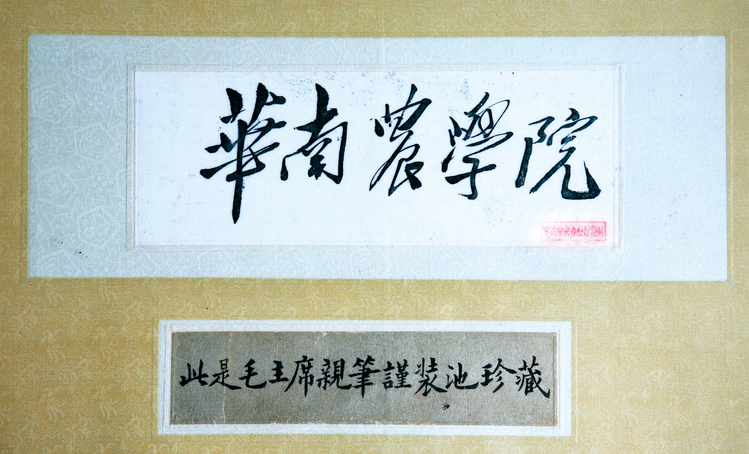 毛主席为华南农学院校名题字原稿复印件