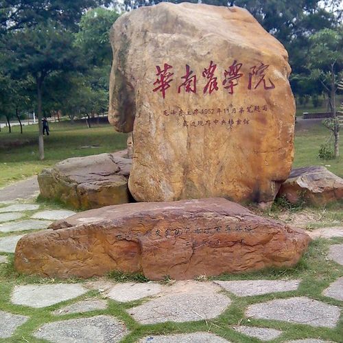 华南农学院校名石
