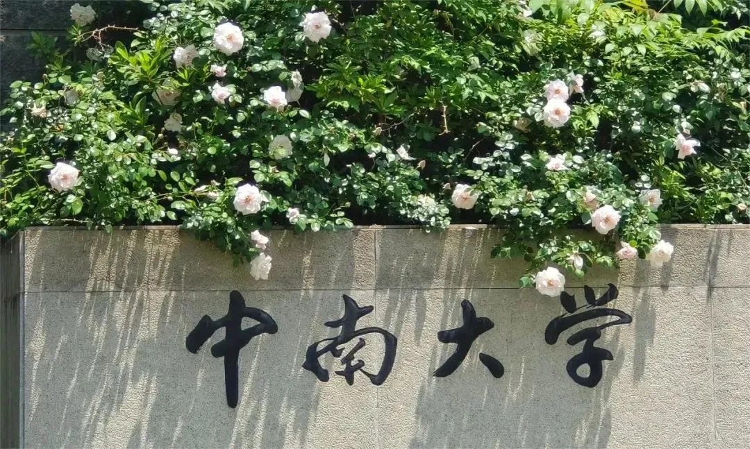 中南大学校名石