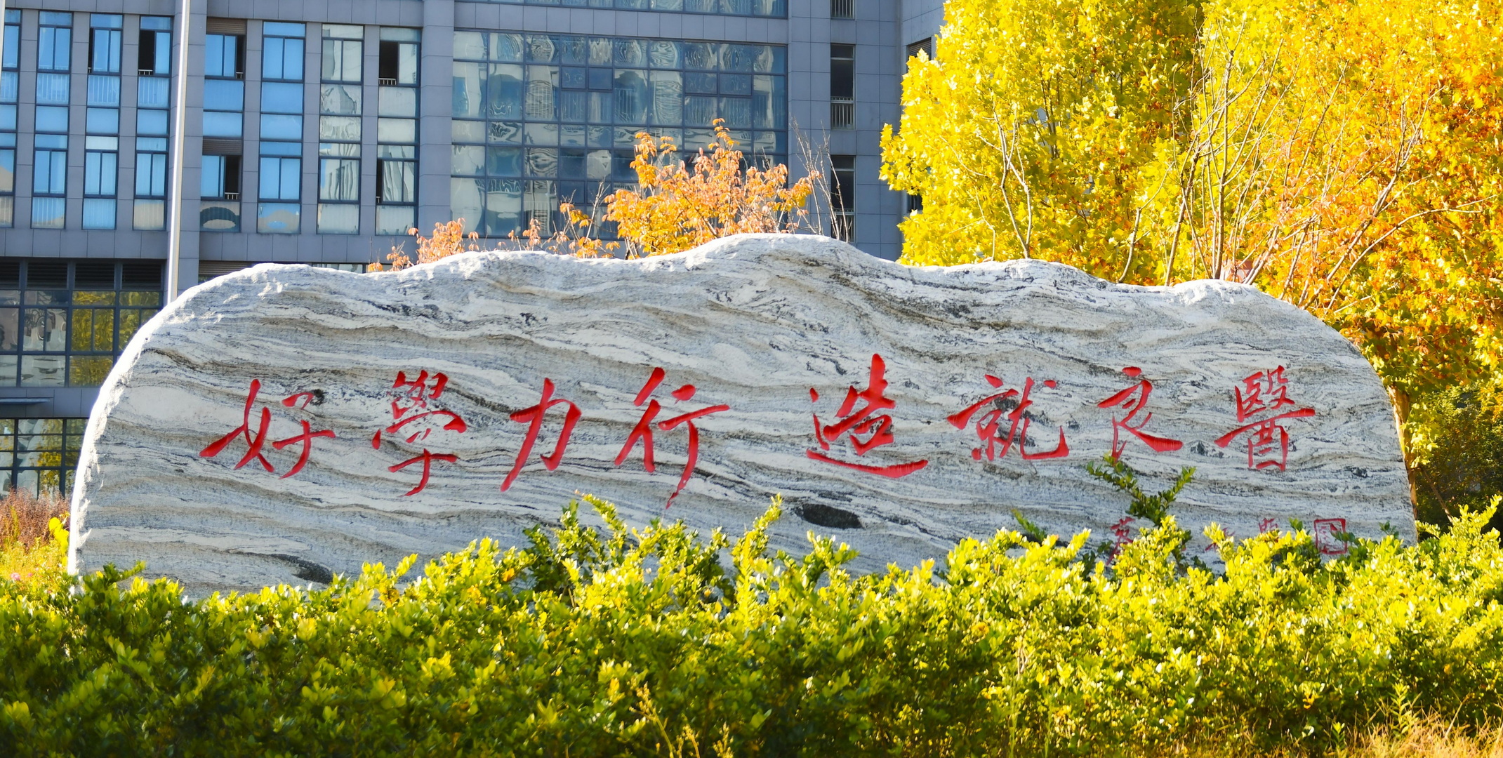 安徽医科大学校训石