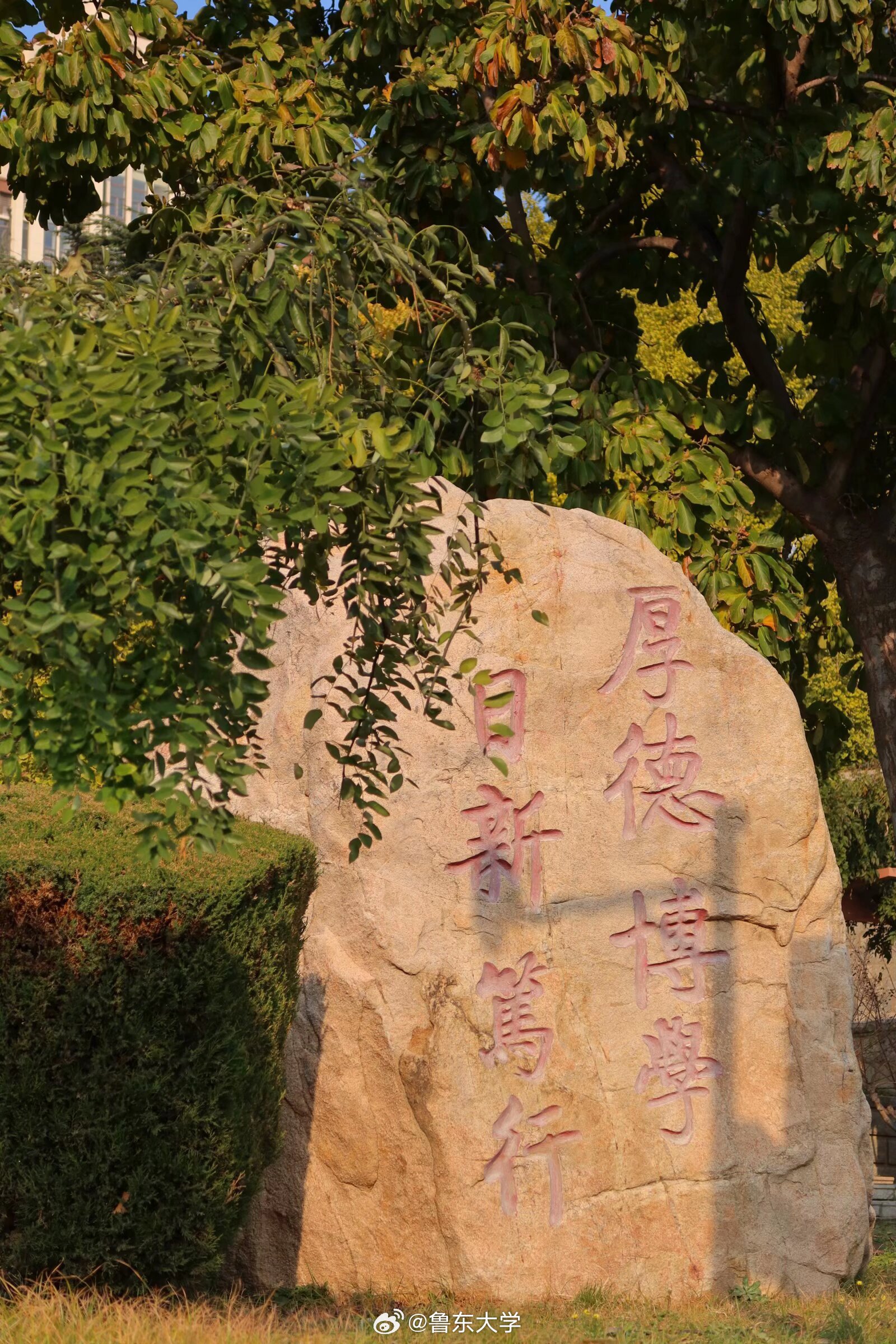 鲁东大学校训石
