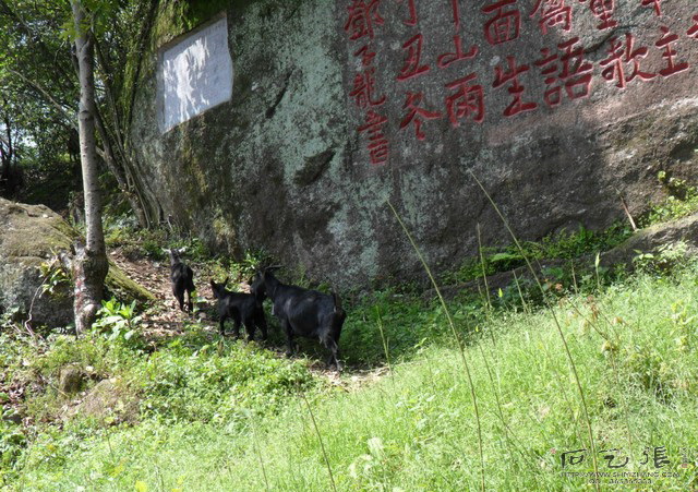 仙羊塞山摩崖石刻