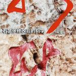 改字修复对比
