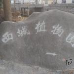 石头刻字《西城植物园》