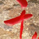刻字细节 (4).jpg