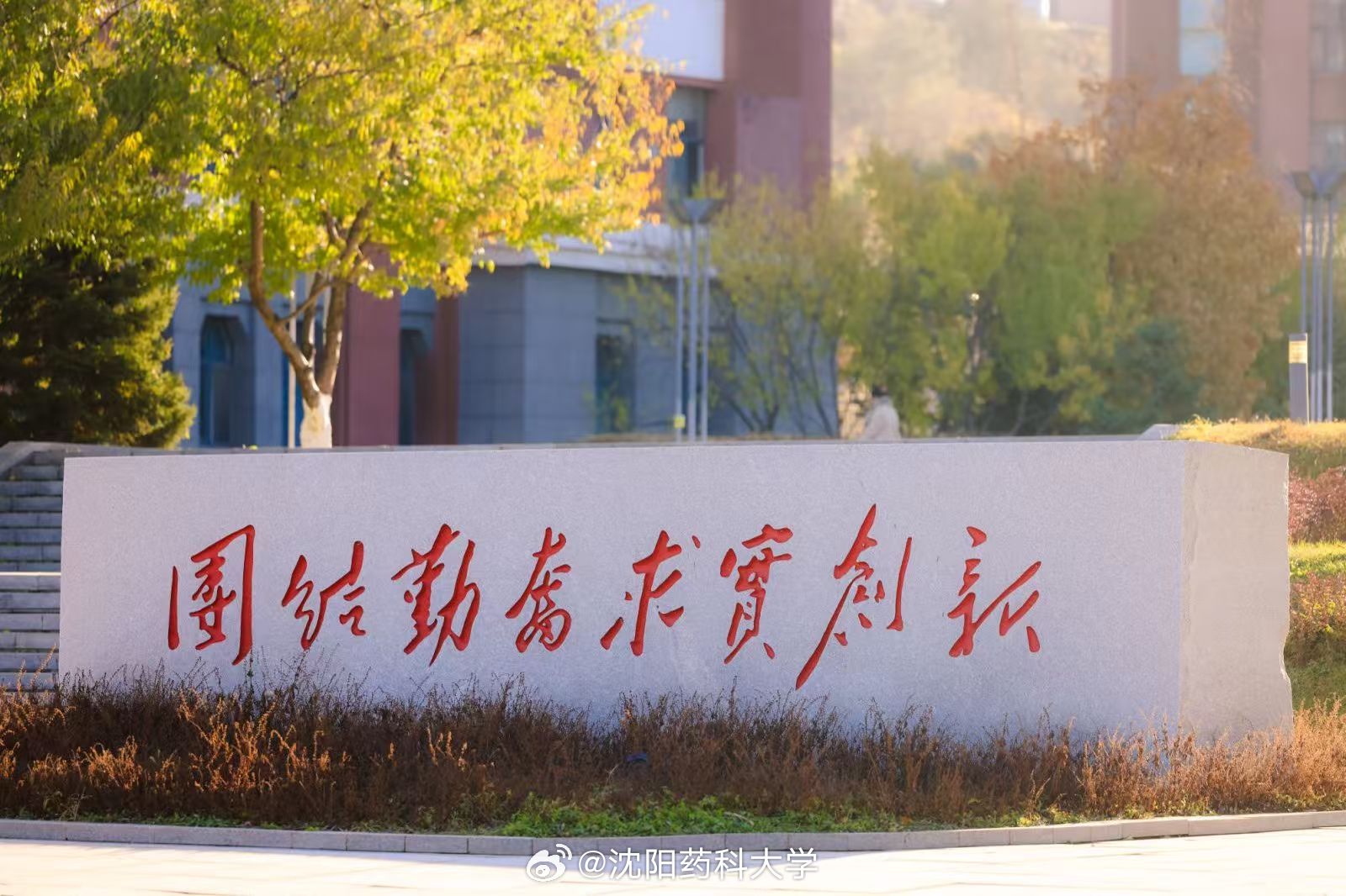 沈阳药科大学校训石