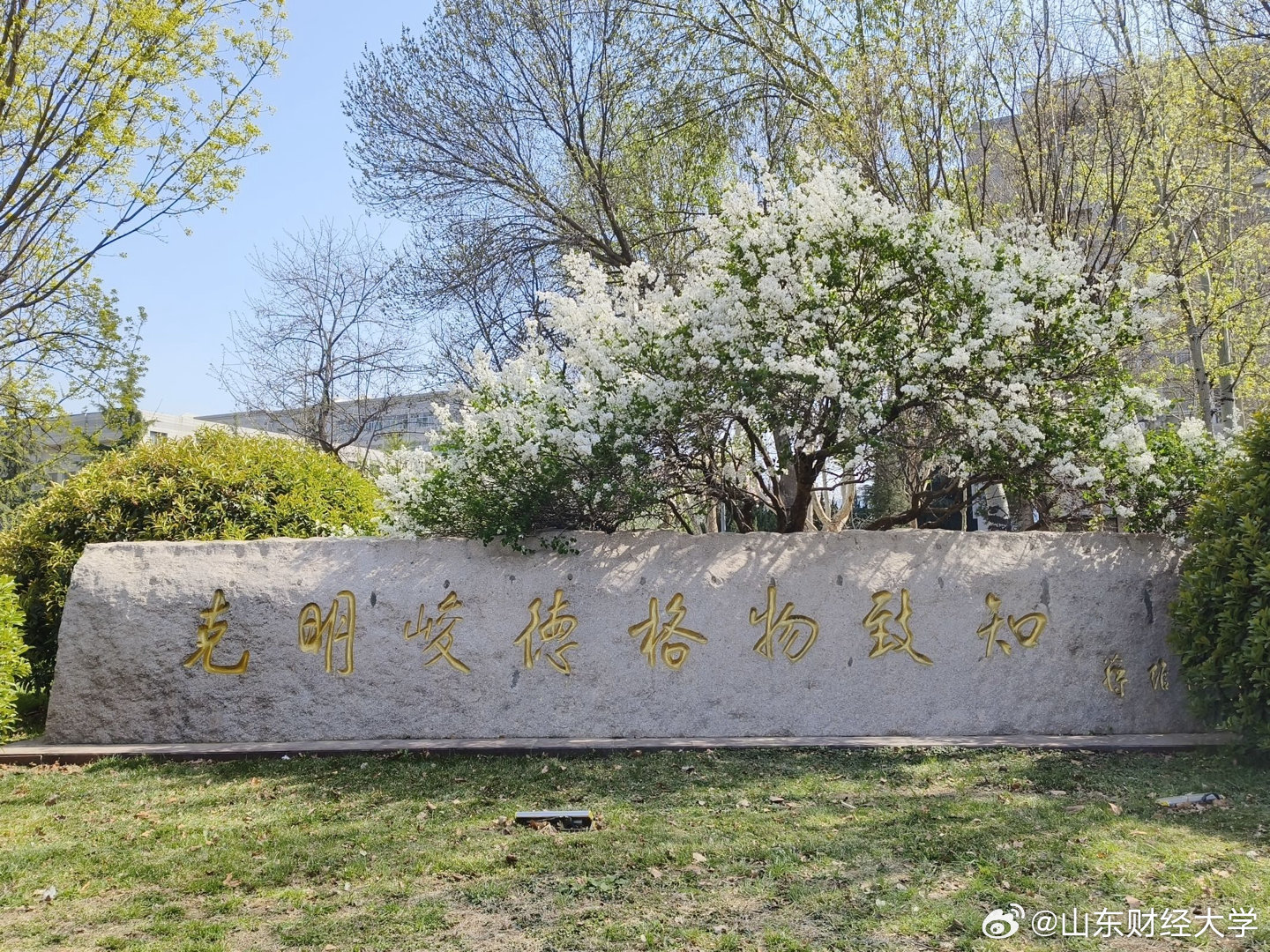 山东财经大学校训石