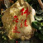 佛法无边