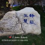静能生慧