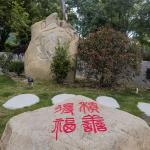种善得福
